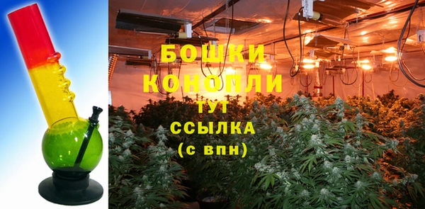 шишки Бородино