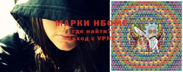 гашик Верея