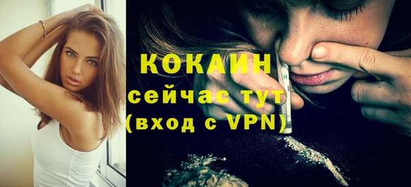 гашик Верея